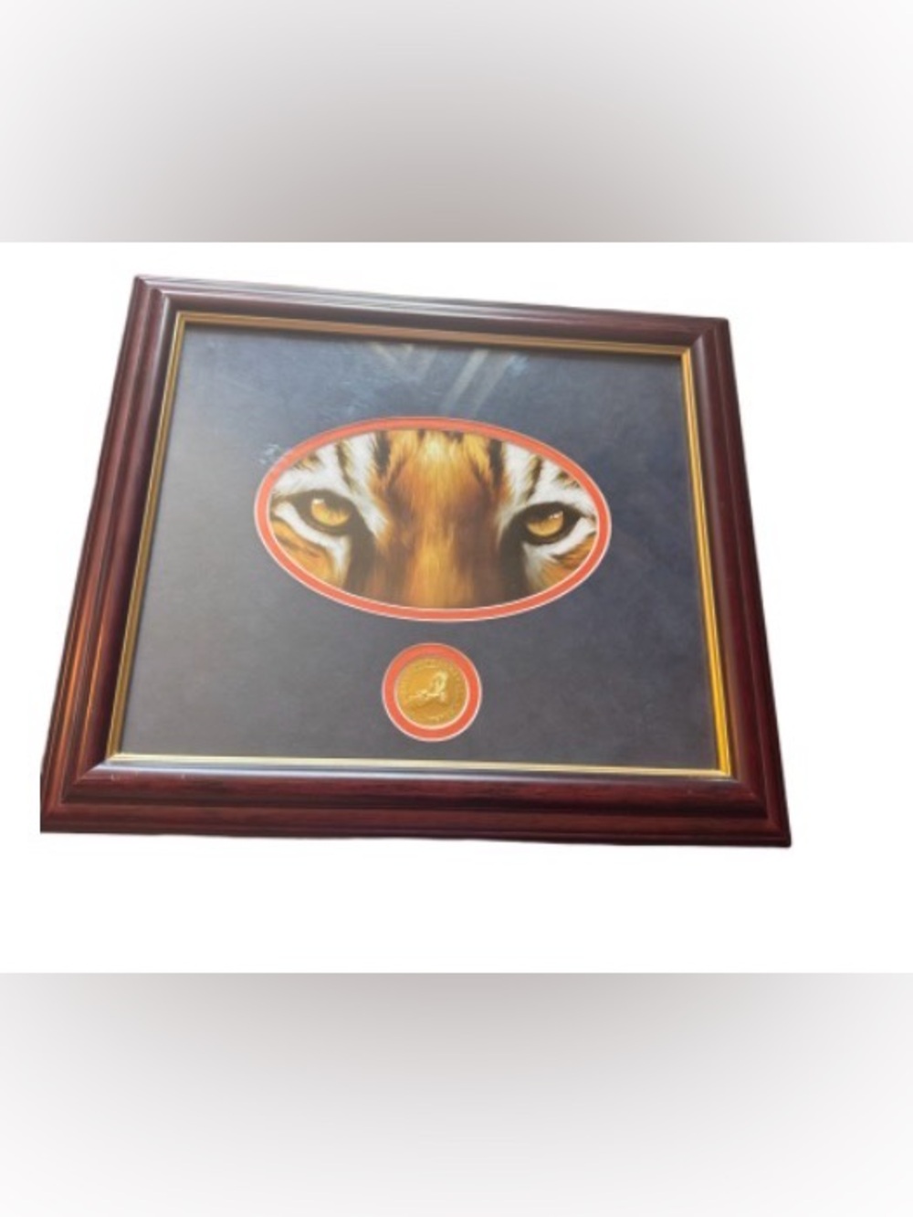 Auburn Tigers Tiger Eyes Framed Wall Art - Brown and Gold Accent 13 x 15"